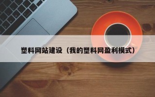 沭阳塑料网站建设（我的塑料网盈利模式）